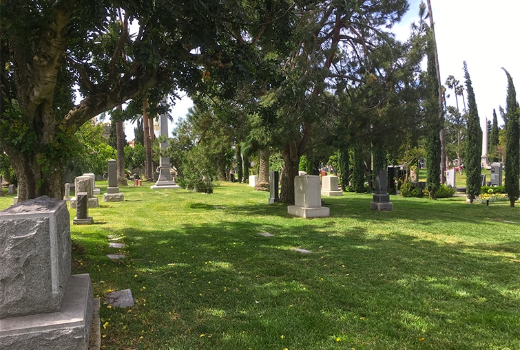 , Nichos Crematorios, Parcelas Crematorias, Arboles Vivientes, y Jardines de Esparción