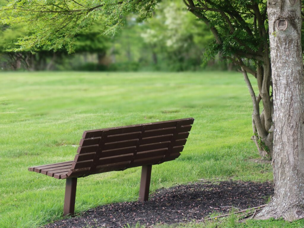 Questions to Ask When Choosing a Cemetery or Cremation Service 1 Questions to Ask When Choosing a Cemetery or Cremation Service