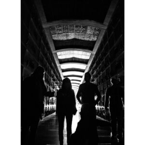 Galería de Fotos 5