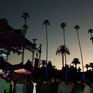 Galería de Fotos 65 2473353618