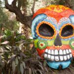 Galería de Fotos 5