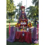Galería de Fotos 5