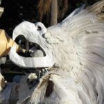 Galería de Fotos 5