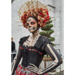 Galería de Fotos 5