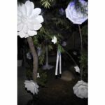 Galería de Fotos 9