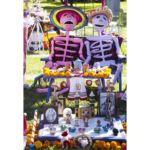 Galería de Fotos 16