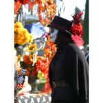 Galería de Fotos 16