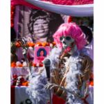 Galería de Fotos 19