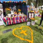 Galería de Fotos 40