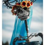 Galería de Fotos 40