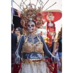 Galería de Fotos 41