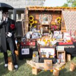 Galería de Fotos 41