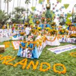 Galería de Fotos 43