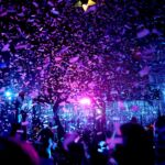 Galería de Fotos 44