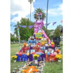 Galería de Fotos 44