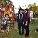 Galería de Fotos 45