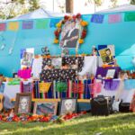 Galería de Fotos 46