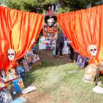 Galería de Fotos 47
