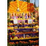 Galería de Fotos 49