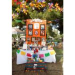 Galería de Fotos 49