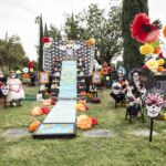 Galería de Fotos 50