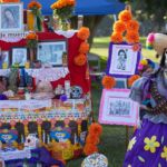 Galería de Fotos 50