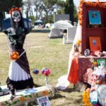 Galería de Fotos 50