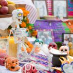 Galería de Fotos 50