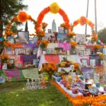 Galería de Fotos 51