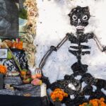 Galería de Fotos 53