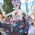 Galería de Fotos 53