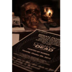Galería de Fotos 57