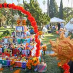 Galería de Fotos 51