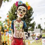 Galería de Fotos 59