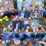 Galería de Fotos 60