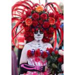 Galería de Fotos 61