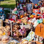 Galería de Fotos 66