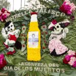 Galería de Fotos 66
