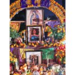 Galería de Fotos 67