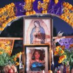 Galería de Fotos 68