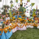 Galería de Fotos 68