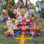 Galería de Fotos 68