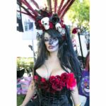Galería de Fotos 68