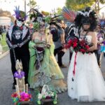 Galería de Fotos 60