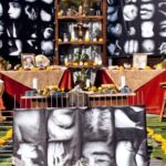 Galería de Fotos 71