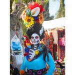 Galería de Fotos 64