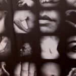Galería de Fotos 72