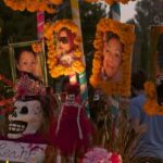 Galería de Fotos 73