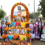 Galería de Fotos 74