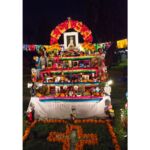 Galería de Fotos 75